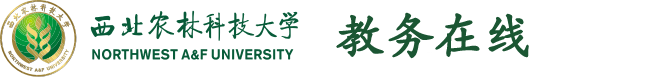 首頁